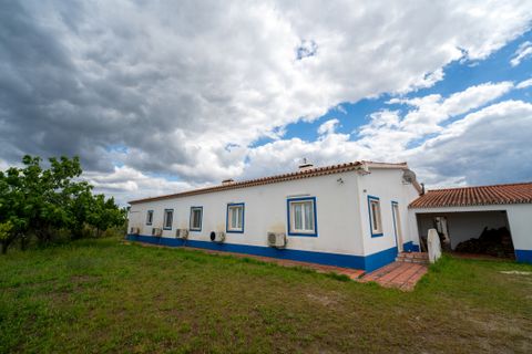 Finca i Avis, Portalegre, Avis - € 750.000 | Ref: 120121142213-73 - foto 48